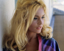 TUESDAY WELD SEXY LONG BLONDE HAIR PROFILE PRINTS AND POSTERS 281906