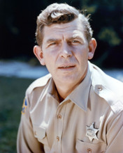 THE ANDY GRIFFITH SHOW TV PORTRAIT PRINTS AND POSTERS 281855