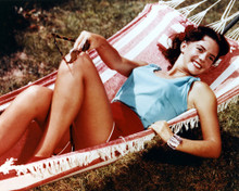 NATALIE WOOD LEGGY POSE IN HAMMOCK PRINTS AND POSTERS 281802