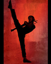 THE KARATE KID JADEN SMITH PRINTS AND POSTERS 281781