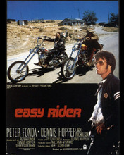 EASY RIDER PRINTS AND POSTERS 281757