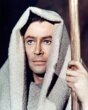 PETER O'TOOLE PRINTS AND POSTERS 281572