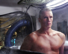 DOLPH LUNDGREN BARECHESTED UNIVERSAL SOLDIER PRINTS AND POSTERS 281533