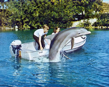 FLIPPER DOLPHIN TV RARE PRINTS AND POSTERS 281477