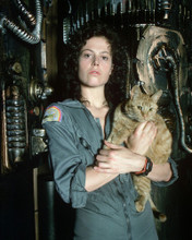 SIGOURNEY WEAVER PRINTS AND POSTERS 281385