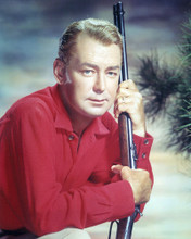 ALAN LADD RED SHIRT HOLDING RIFLE PRINTS AND POSTERS 281296