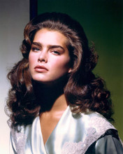 BROOKE SHIELDS PRINTS AND POSTERS 281295