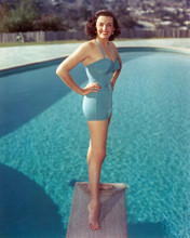 JANE RUSSELL SWIMSUIT ON DIVING BOARD POSE PRINTS AND POSTERS 281255