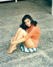 PIER ANGELI LEGGY BAREFOOT POSE PRINTS AND POSTERS 281042