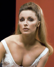 SHARON TATE BUSTY SEXY RARE POSE PRINTS AND POSTERS 281024