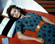 SOPHIA LOREN STUNNING QUALITY POSE PRINTS AND POSTERS 281015