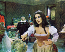 ELIZABETH TAYLOR TAMING OF THE SHREW BUSTY PRINTS AND POSTERS 280991