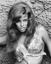 RAQUEL WELCH PRINTS AND POSTERS 280934