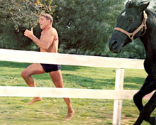THE SWIMMER BURT LANCASTER PRINTS AND POSTERS 280836