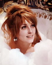 SHARON TATE FEARLESS VAMPIRE KILLERS PRINTS AND POSTERS 280791