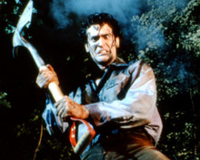 BRUCE CAMPBELL THE EVIL DEAD 2 RARE PRINTS AND POSTERS 280761