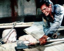 EVIL DEAD 2 PRINTS AND POSTERS 280757