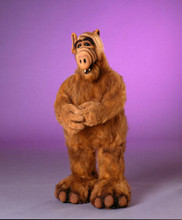 ALF TV SHOW RARE PRINTS AND POSTERS 280678
