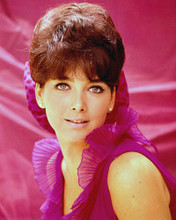 SUZANNE PLESHETTE BEAUTIFUL PRINTS AND POSTERS 280666