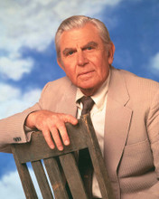MATLOCK ANDY GRIFFITH PRINTS AND POSTERS 280646