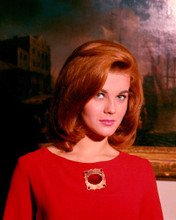 ANN-MARGRET PRINTS AND POSTERS 280644