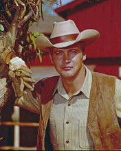 LEE MAJORS THE BIG VALLEY PRINTS AND POSTERS 280639