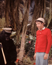 GILLIGAN'S ISLAND PRINTS AND POSTERS 280626