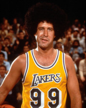 CHEVY CHASE FLETCH BASKETBALL IN WIG PRINTS AND POSTERS 280064