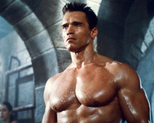 ARNOLD SCHWARZENEGGER PRINTS AND POSTERS 278450