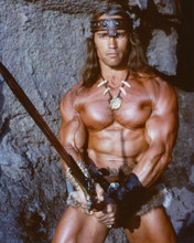 ARNOLD SCHWARZENEGGER PRINTS AND POSTERS 278449