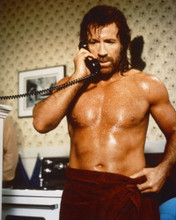 CHUCK NORRIS BEEFCAKE BARE CHESTED PRINTS AND POSTERS 278440