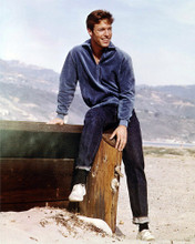 RICHARD CHAMBERLAIN CLASSIC 60'S POSE PRINTS AND POSTERS 278323