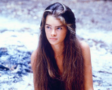 BROOKE SHIELDS PRINTS AND POSTERS 278256