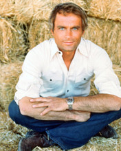TERENCE HILL PRINTS AND POSTERS 278219