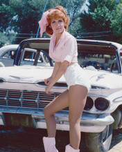 ROZ KELLY LEGGY POSE PINKY HAPPY DAYS SEXY PRINTS AND POSTERS 278189