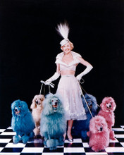 DORIS DAY RARE POSE WITH PINK BLUE POODLES PRINTS AND POSTERS 278008