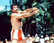TOM SELLECK HUNKY SHORTS ON BAECH BARECHEST PRINTS AND POSTERS 277958