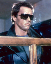 ARNOLD SCHWARZENEGGER THE TERMINATOR PRINTS AND POSTERS 277918