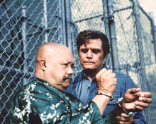JACK LORD HAWAII FIVE-0 WO FAT GREAT TV SHOT PRINTS AND POSTERS 277891