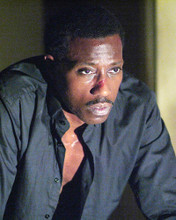 WESLEY SNIPES PRINTS AND POSTERS 277845
