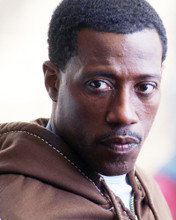 WESLEY SNIPES PRINTS AND POSTERS 277843