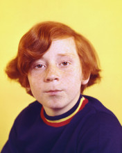 DANNY BONADUCE THE PARTRIDGE FAMILY PRINTS AND POSTERS 277227