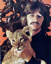 RINGO STARR WITH TIGER CUB RARE POSE PRINTS AND POSTERS 277212