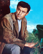 LAURENCE HARVEY RARE 60'S PORTRAIT PRINTS AND POSTERS 277193