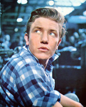 ALBERT FINNEY SATURDAY NIGHT SUNDAY MORNING PRINTS AND POSTERS 277186