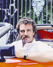 TOM SELLECK IN FERRARI 308 GTS MAGNUM PRINTS AND POSTERS 277105