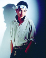 RALPH MACCHIO THE KARATE KID PRINTS AND POSTERS 277076