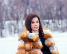 MARY TYLER MOORE IN SNOW FROM SHOW PRINTS AND POSTERS 277007