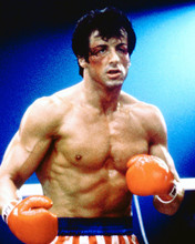 SYLVESTER STALLONE ROCKY IN BOXING RING PRINTS AND POSTERS 276665