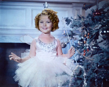 SHIRLEY TEMPLE BY CHRISTMAS TREE PRINTS AND POSTERS 276063